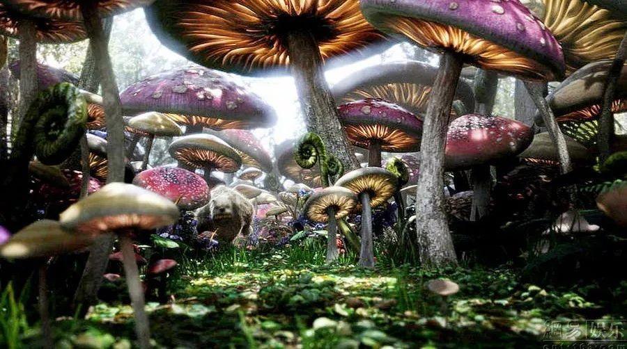 银行拒履行协助执行义务被罚百万,负责人被拘十五日罚款十万